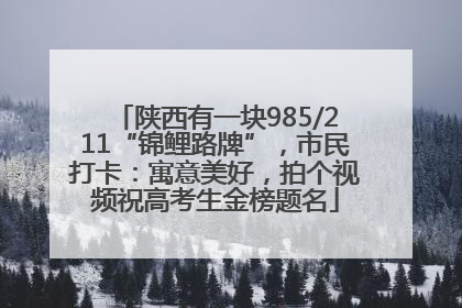 陕西有一块985/211“锦鲤路牌”，市民打卡：寓意美好，拍个视频祝高考生金榜题名