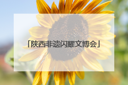 陕西非遗闪耀文博会