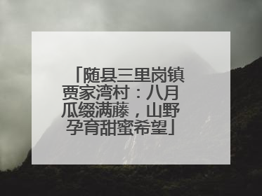 随县三里岗镇贾家湾村：八月瓜缀满藤，山野孕育甜蜜希望