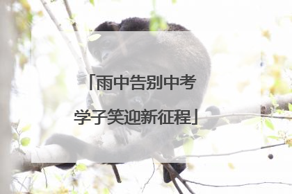 雨中告别中考 学子笑迎新征程