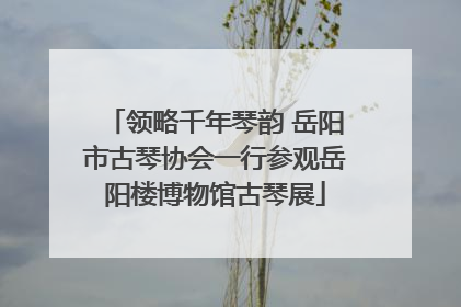 领略千年琴韵 岳阳市古琴协会一行参观岳阳楼博物馆古琴展