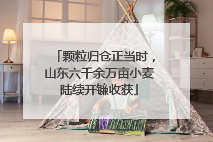 颗粒归仓正当时，山东六千余万亩小麦陆续开镰收获