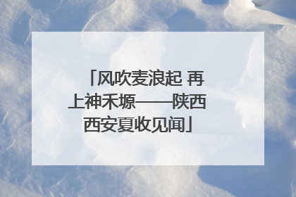 风吹麦浪起 再上神禾塬——陕西西安夏收见闻