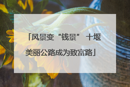 风景变“钱景” 十堰美丽公路成为致富路
