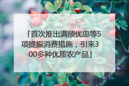 首次推出满额优惠等5项提振消费措施，引来300多种优质农产品