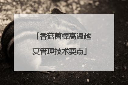 香菇菌棒高温越夏管理技术要点