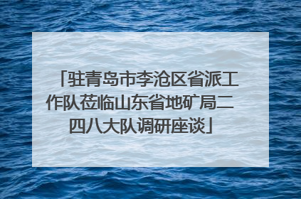 驻青岛市李沧区省派工作队莅临山东省地矿局二四八大队调研座谈