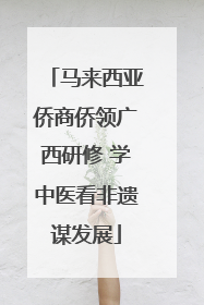 马来西亚侨商侨领广西研修 学中医看非遗谋发展