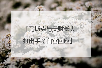 马斯克与美财长大打出手？白宫回应
