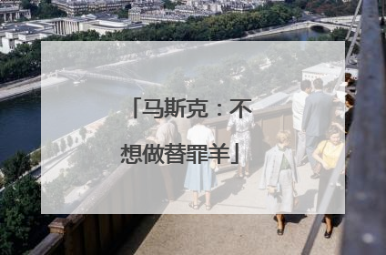 马斯克：不想做替罪羊