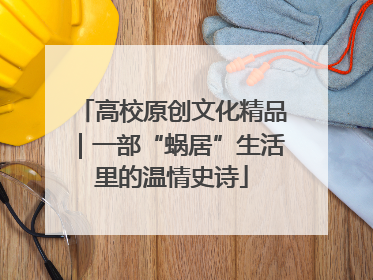 高校原创文化精品｜一部“蜗居”生活里的温情史诗