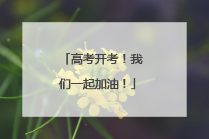 高考开考！我们一起加油！