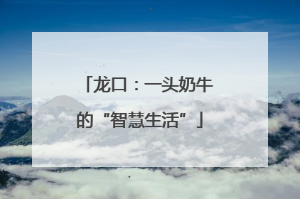 龙口：一头奶牛的“智慧生活”