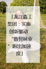 龙江森工集团：实施创新驱动 “数智林业”跑出加速度