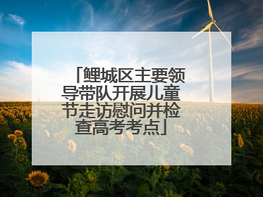 鲤城区主要领导带队开展儿童节走访慰问并检查高考考点
