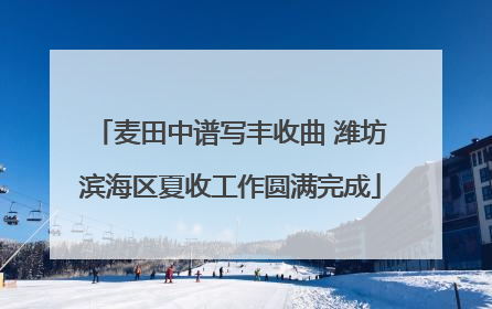 麦田中谱写丰收曲 潍坊滨海区夏收工作圆满完成