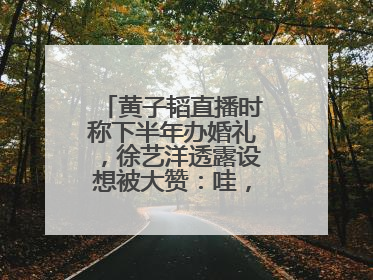 黄子韬直播时称下半年办婚礼，徐艺洋透露设想被大赞：哇，这个太好了