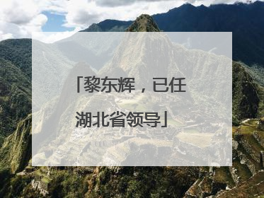 黎东辉，已任湖北省领导