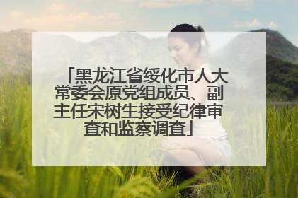 黑龙江省绥化市人大常委会原党组成员、副主任宋树生接受纪律审查和监察调查