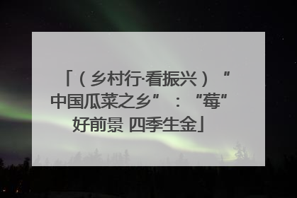 （乡村行·看振兴）“中国瓜菜之乡”：“莓”好前景 四季生金