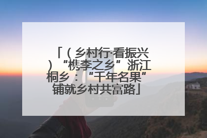 （乡村行·看振兴）“槜李之乡”浙江桐乡：“千年名果”铺就乡村共富路