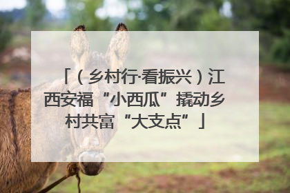 （乡村行·看振兴）江西安福“小西瓜”撬动乡村共富“大支点”