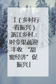 （乡村行·看振兴）浙江乡村：时令果蔬迎丰收 “甜蜜经济”促振兴