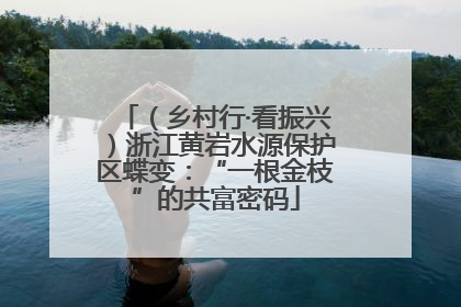 （乡村行·看振兴）浙江黄岩水源保护区蝶变：“一根金枝”的共富密码