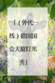 （外代一线）德国国会大厦灯光秀
