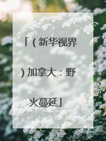 （新华视界）加拿大：野火蔓延