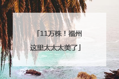 11万株！福州这里太太太美了