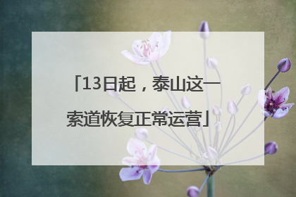 13日起，泰山这一索道恢复正常运营