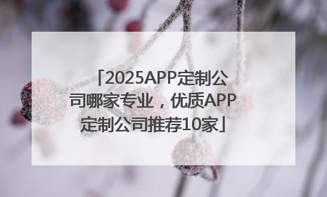 2025APP定制公司哪家专业，优质APP定制公司推荐10家