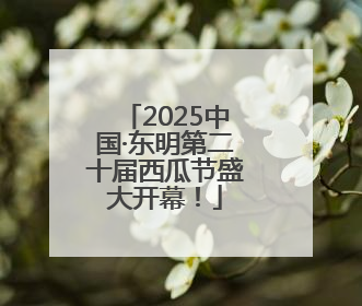 2025中国·东明第二十届西瓜节盛大开幕！