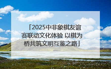2025中非象棋友谊赛联动文化体验 以棋为桥共筑文明互鉴之路