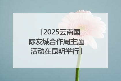 2025云南国际友城合作周主题活动在昆明举行