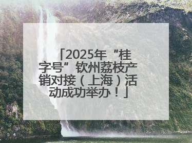2025年“桂字号”钦州荔枝产销对接（上海）活动成功举办！