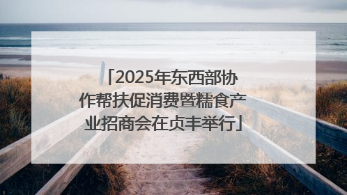 2025年东西部协作帮扶促消费暨糯食产业招商会在贞丰举行