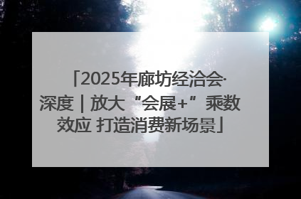 2025年廊坊经洽会·深度｜放大“会展+”乘数效应 打造消费新场景