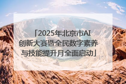 2025年北京市AI创新大赛暨全民数字素养与技能提升月全面启动