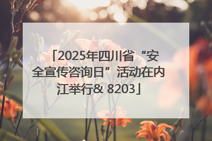 2025年四川省“安全宣传咨询日”活动在内江举行& 8203
