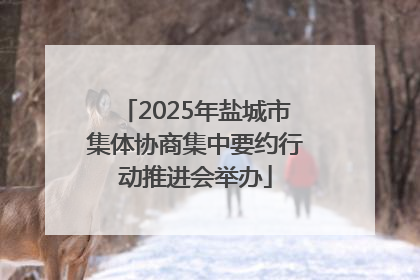 2025年盐城市集体协商集中要约行动推进会举办