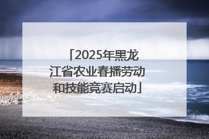 2025年黑龙江省农业春播劳动和技能竞赛启动