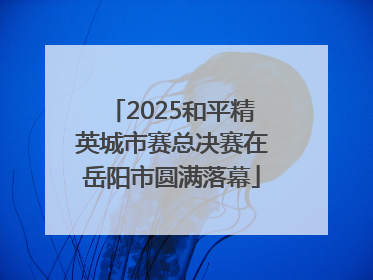 2025和平精英城市赛总决赛在岳阳市圆满落幕