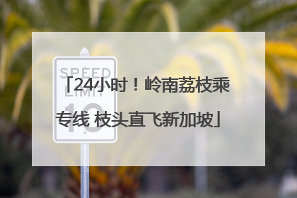 24小时！岭南荔枝乘专线 枝头直飞新加坡