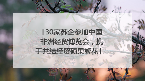 30家苏企参加中国—非洲经贸博览会，携手共结经贸硕果繁花
