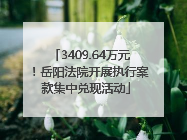 3409.64万元！岳阳法院开展执行案款集中兑现活动