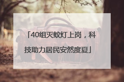 40组灭蚊灯上岗，科技助力居民安然度夏