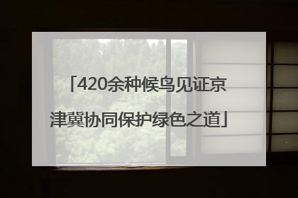 420余种候鸟见证京津冀协同保护绿色之道