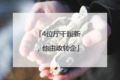 4位厅干履新，他由政转企